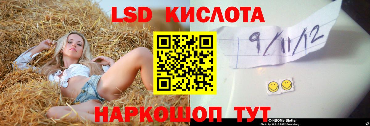 ЛСД экстази кислота  LSD-25 экстази кислота  Новороссийск  Вход с VPN 