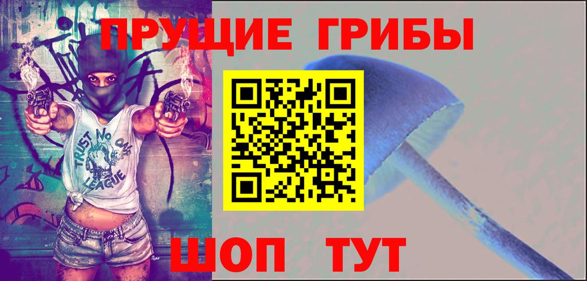 Галлюциногенные грибы Psilocybine cubensis Новороссийск