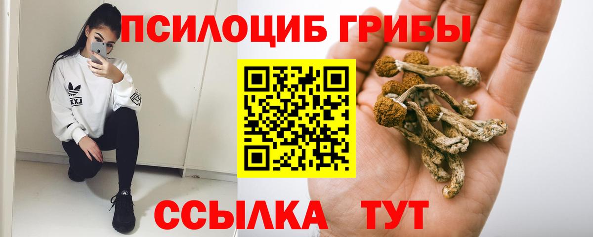 Галлюциногенные грибы Psilocybine cubensis  Вход с VPN  даркнет сайт  Галлюциногенные грибы MAGIC MUSHROOMS  Новороссийск 